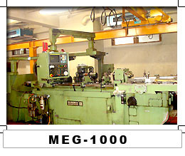 MEG-1000