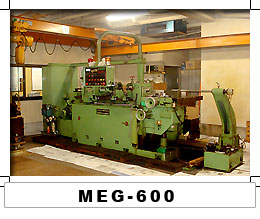 MEG-600